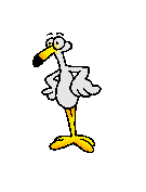 uccello mano.gif